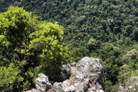 Bukit Chenuang x Batu Kumbang Hiking