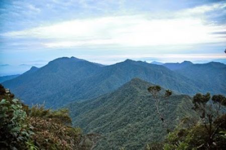 Gunung Chamah