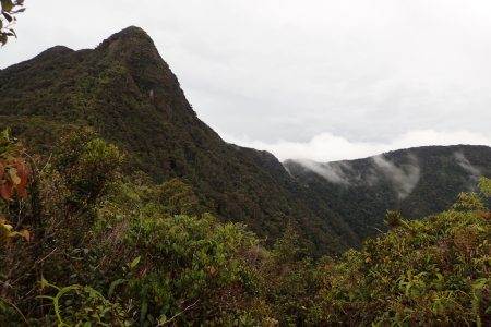 Gunung Korbu x Gayong